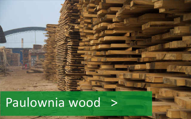 Paulownia-Holz (Schnittholz/Stämme)