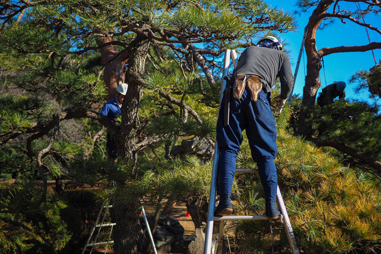 Garden service and outdoor timber construction