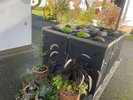 HALABOX Pflanzwanne