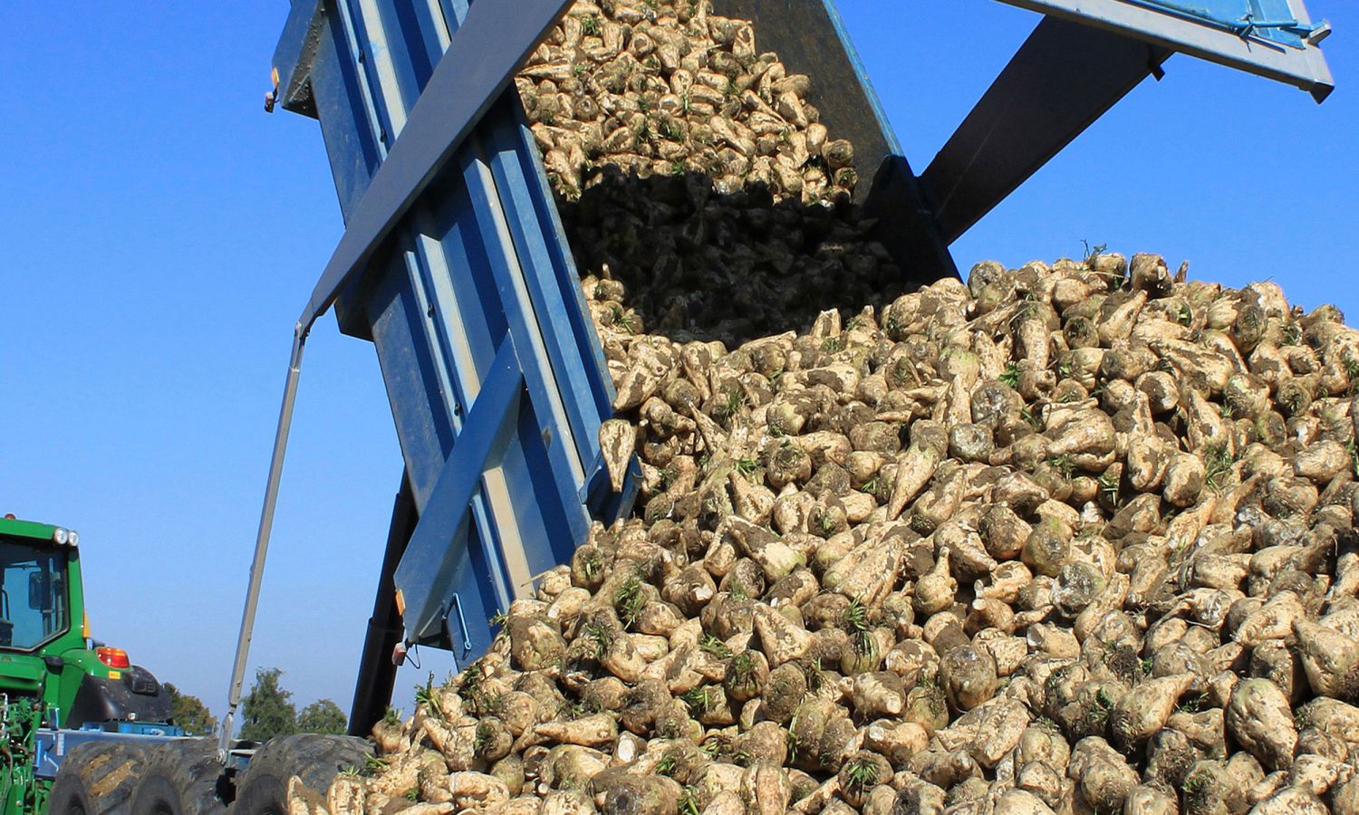 Plant nutrition – urea and Besal