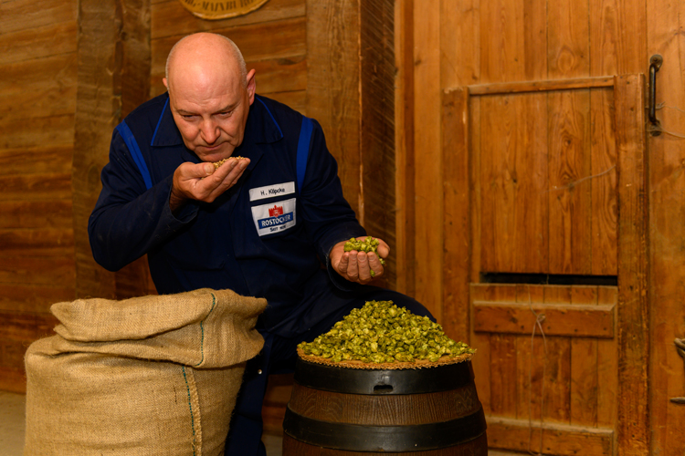 Qualitätsprüfung des Hopfens
