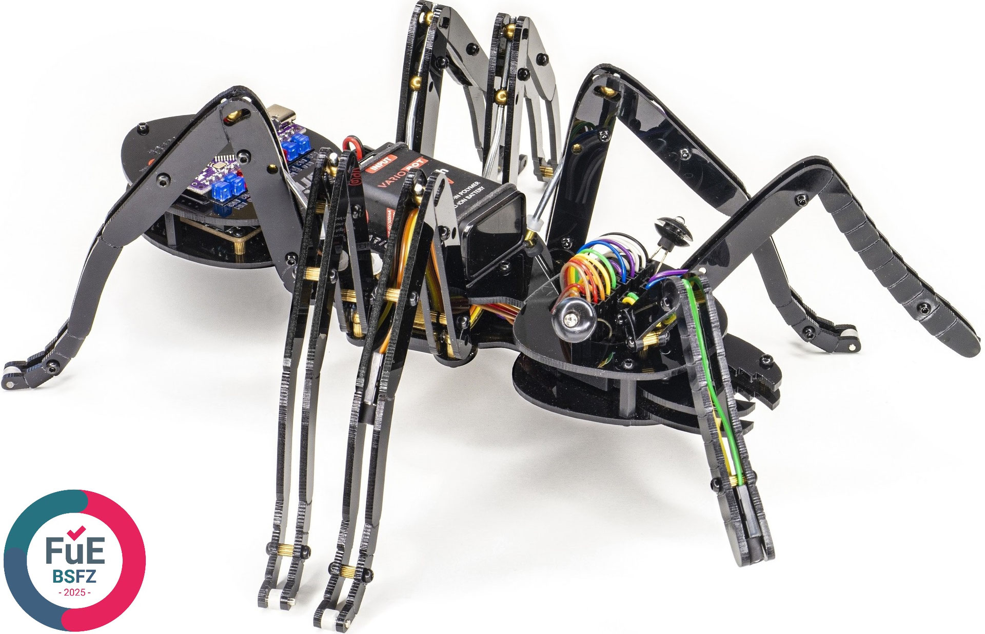 variAnt – realitätsnahe Roboterameise als programmierbarer Bausatz