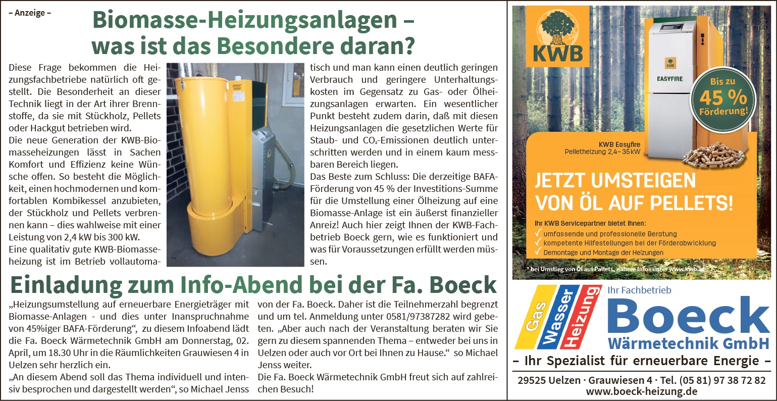 Biomasse-Heizungsanlagen