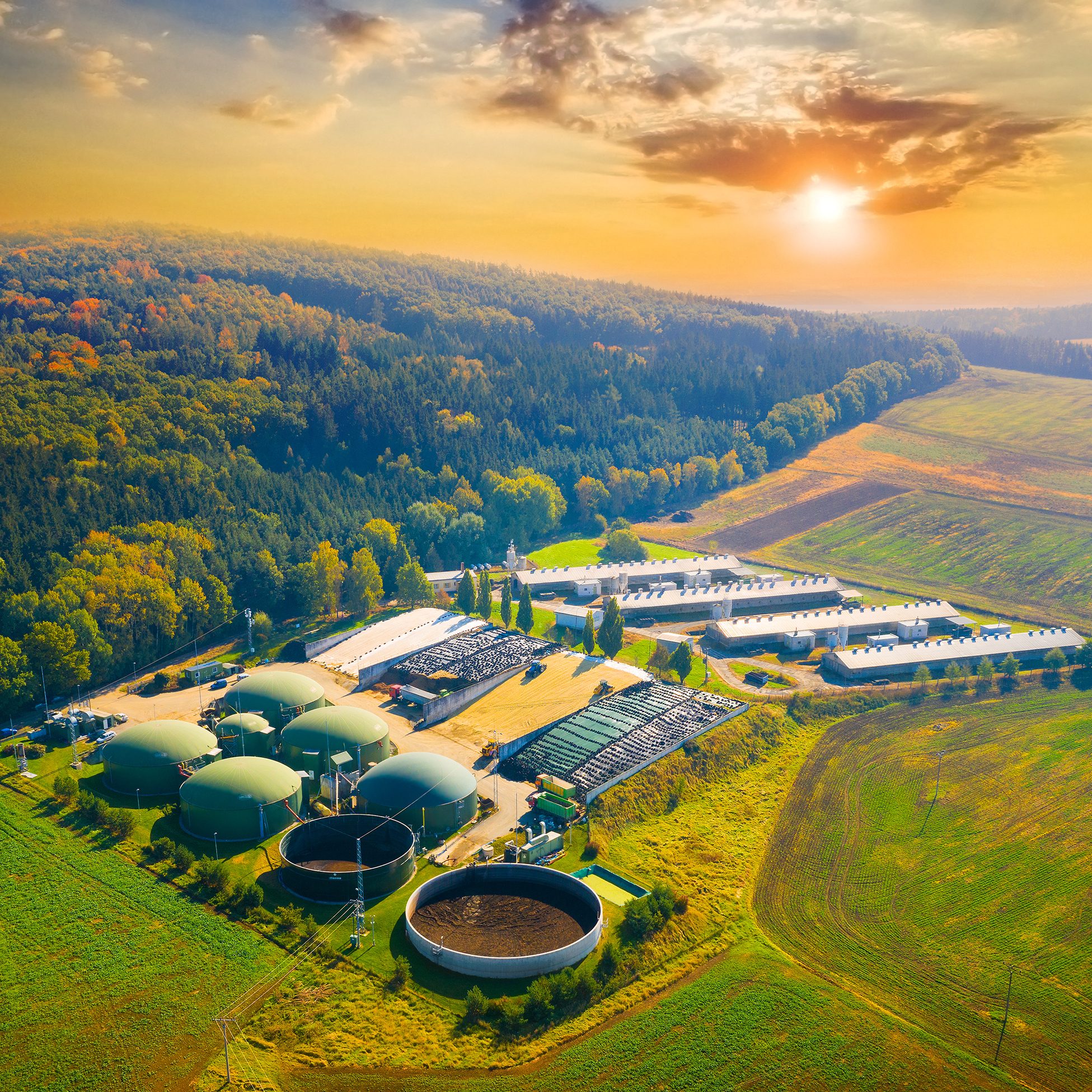 Lösungen für Biogas-Anlagen