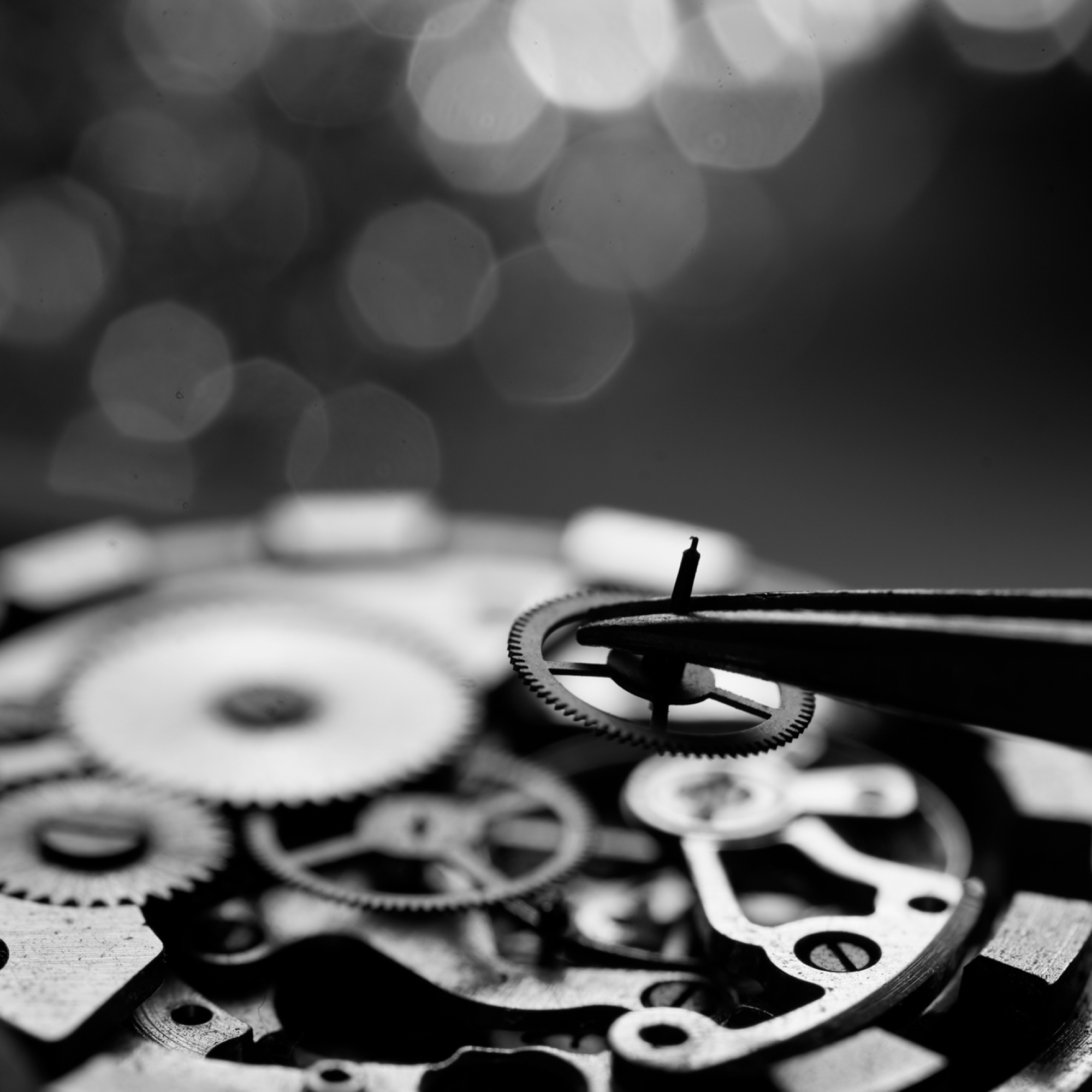 Photochemical process development