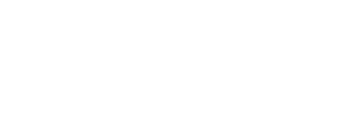 Logo Bocar Group