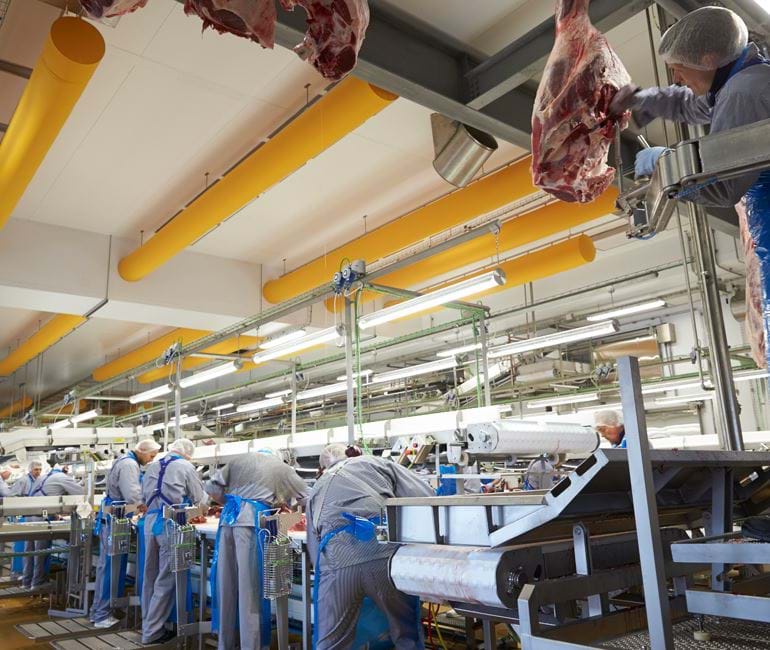 Prozessbelüftung in der Lebensmittelproduktion (DC Holsted)