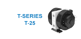 T-25