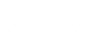 E-Power 42 (Elektroantrieb)