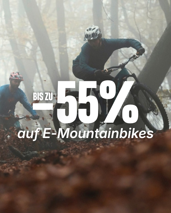 E-Mountainbike