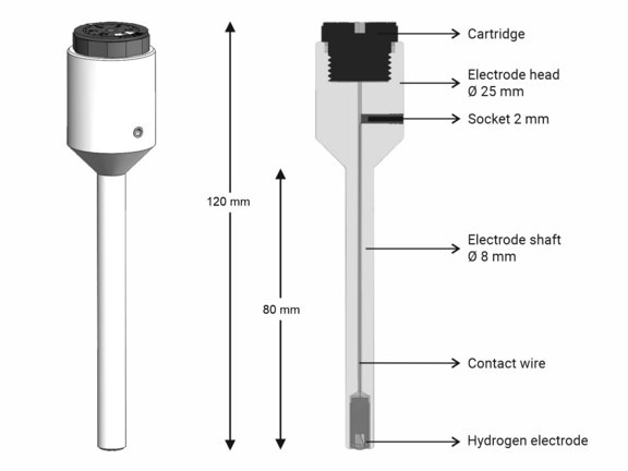 Referenzelektrode HydroFlex (Querschnitt)