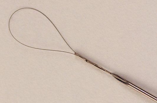 Loop Brush