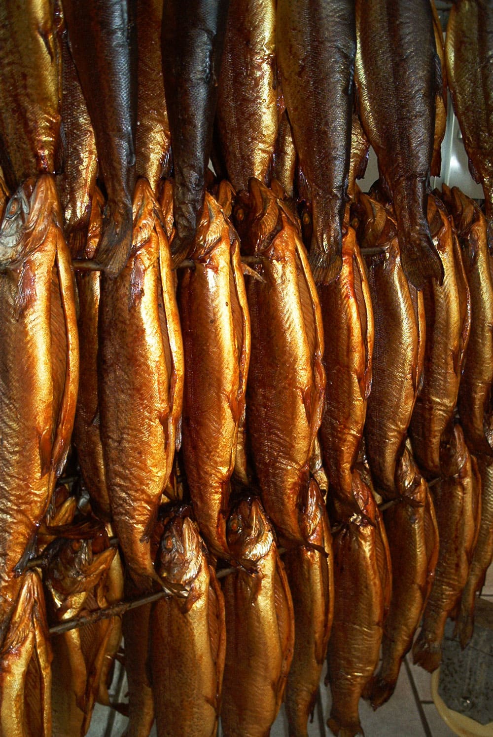 Geräucherter Fisch