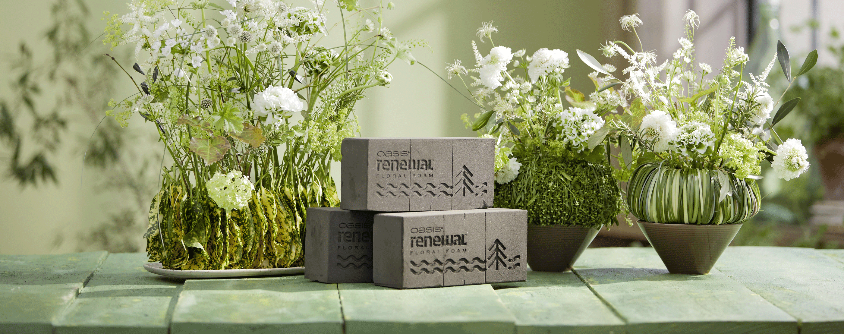 OASIS® Renewal® Floral Foam – biobasierter Steckschaum