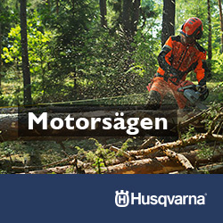 Motorsägen