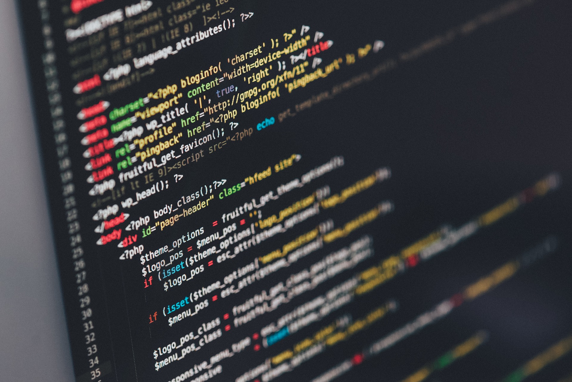 Software-Entwicklung