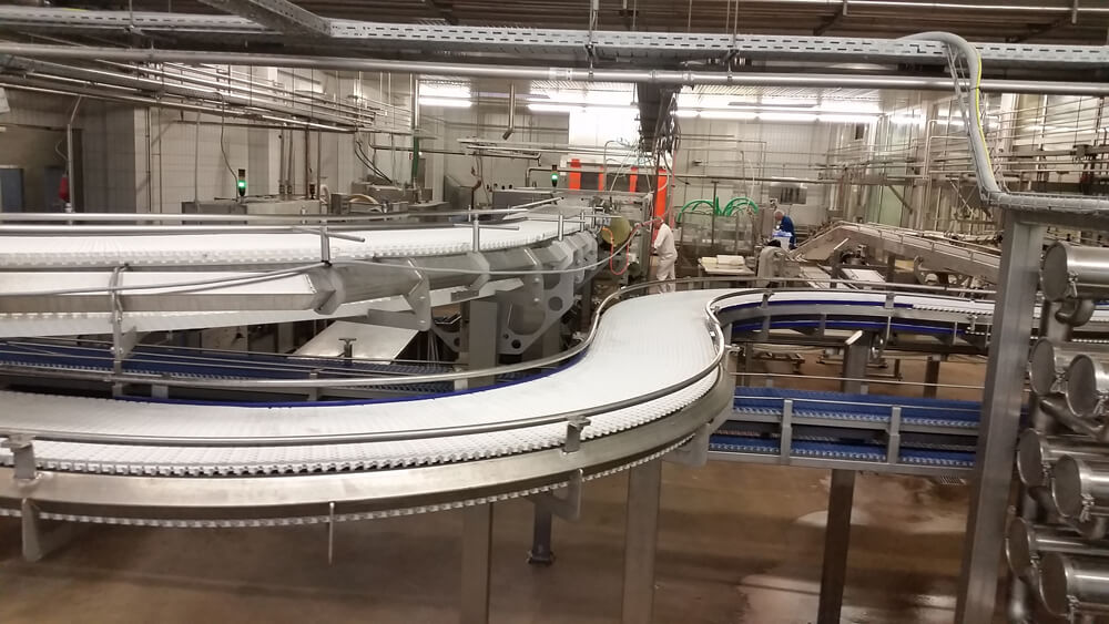 Conveyor belt system for the food sector