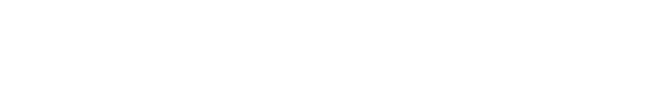 BLE Elektronik Logo