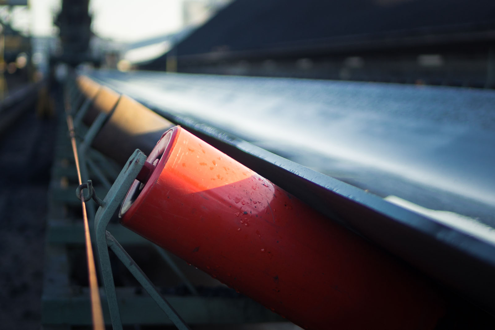 Endlos verschlossener Fördergurt