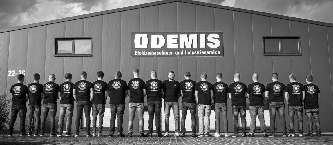 Team der DEMIS GmbH