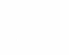 db automobile Logo