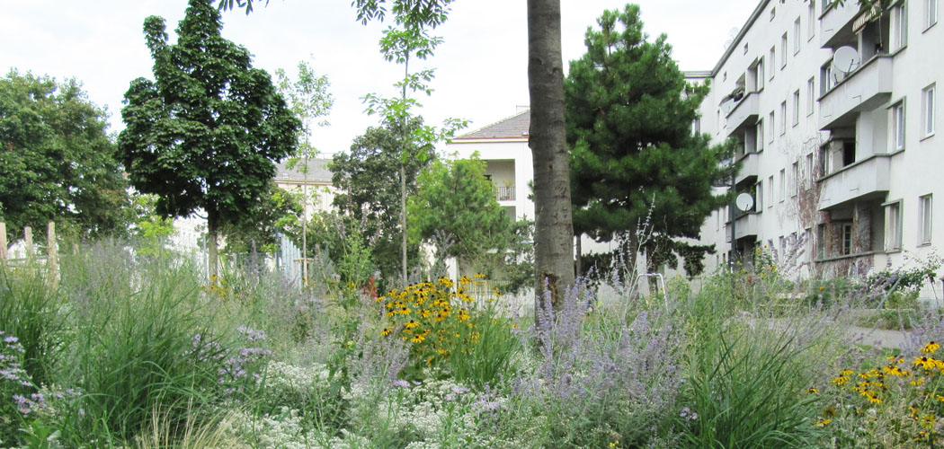 Klieberpark, Wien 5