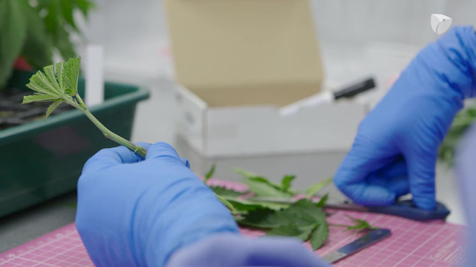Imagefilm Medizin