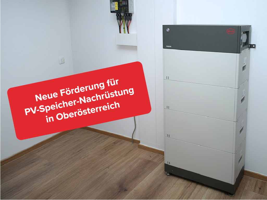Newsbeitrag