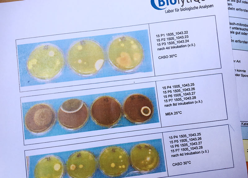 Aufzucht von Proben im Labor für biologische Analysen