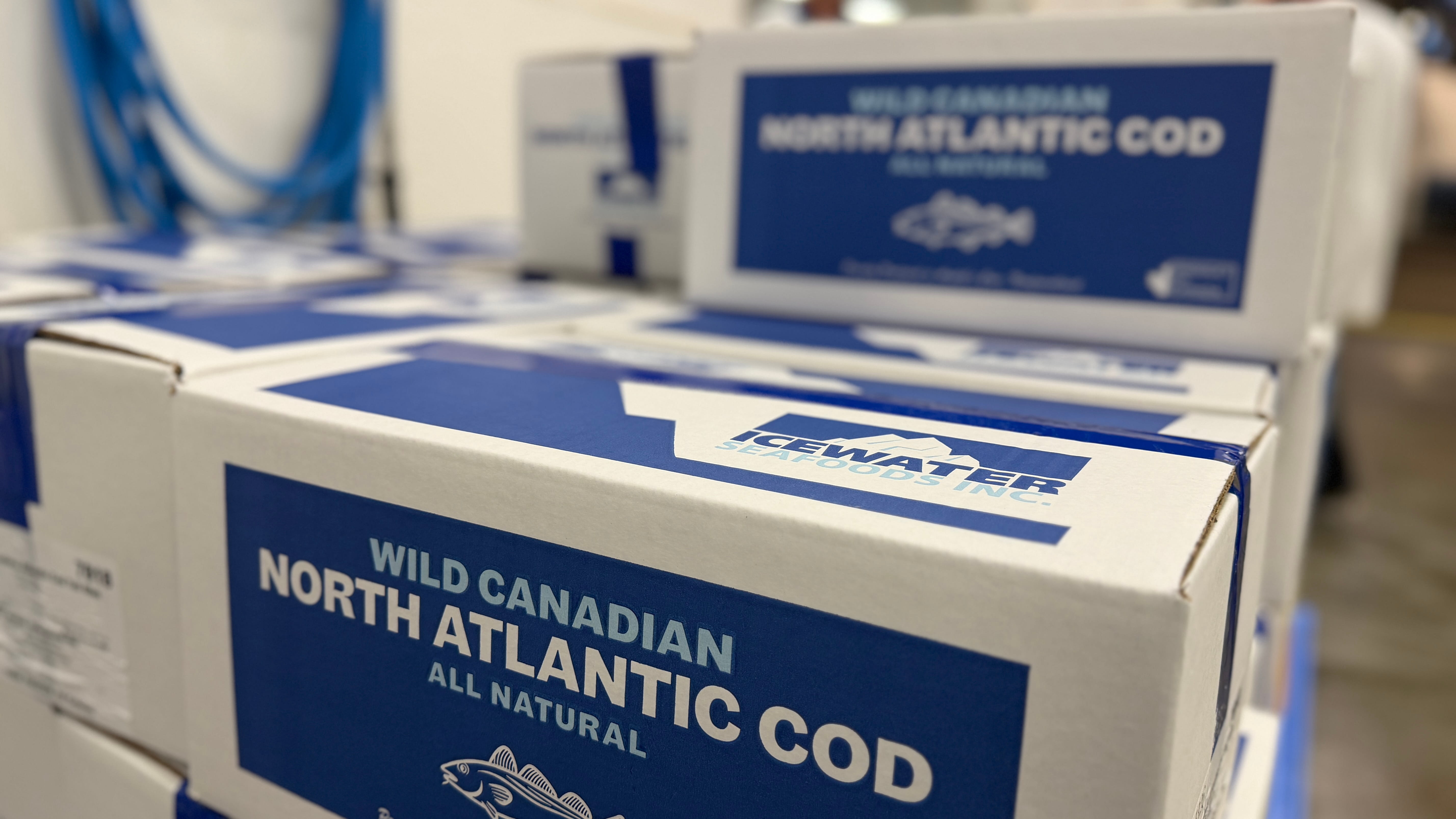 Verpackte Wildlachs-/Kabeljau-Produkte aus Kundsbetrieb