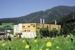 Biomasse-KWK Leoben