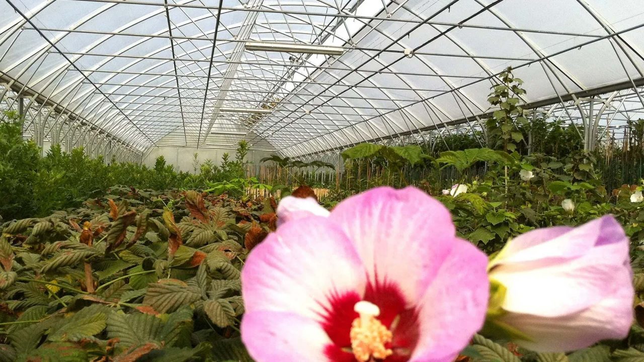 Gartenbautechnik-Zubehör