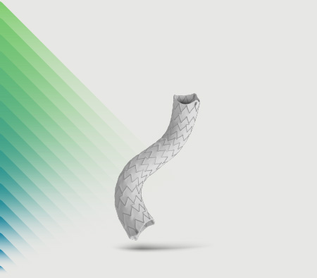 Stent-Grafts für die periphere Aorta