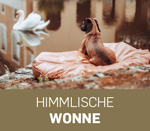 Hundebett aus Büffelleder mit Rosshaarfüllung