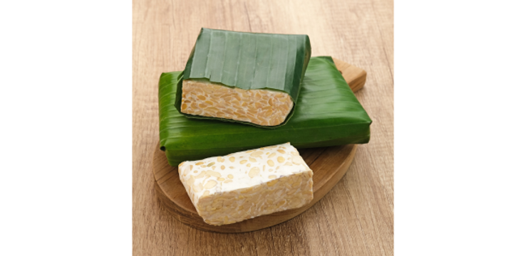 Tempeh