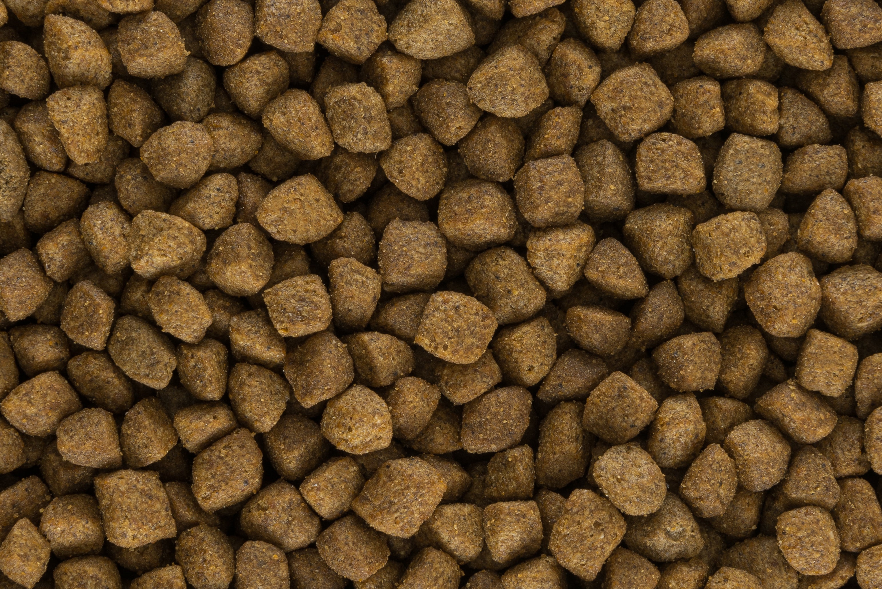 Qualitätssicherung und Tierernährung bei dogdog® und catcat®