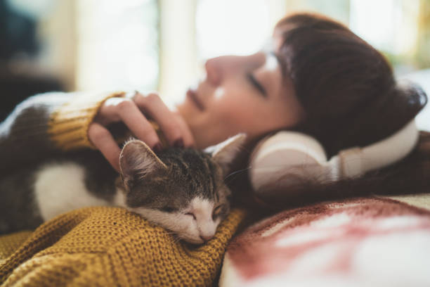 Katze mit catcat® Futter