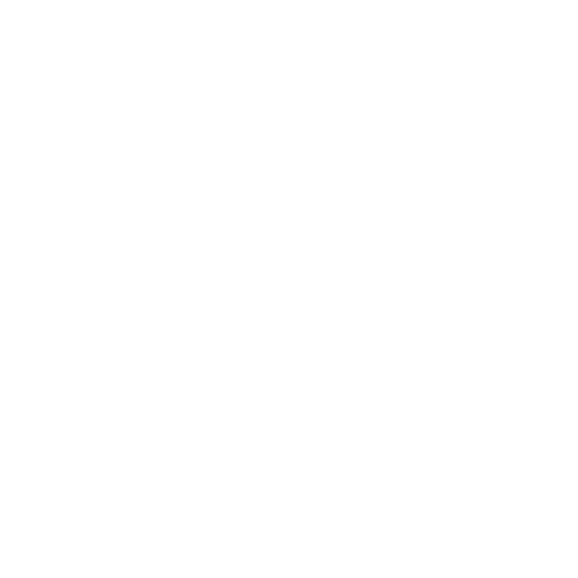 Mikronisierung