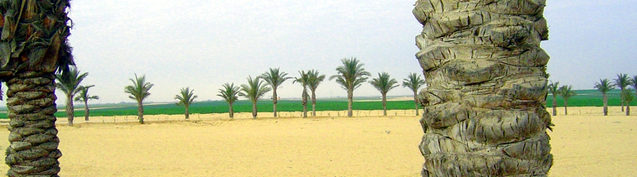 Anbaugebiet