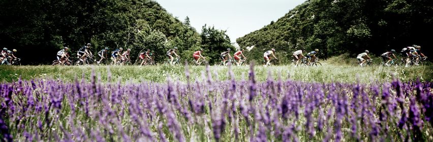 Panorama – No. 23 (Cycling Edition)