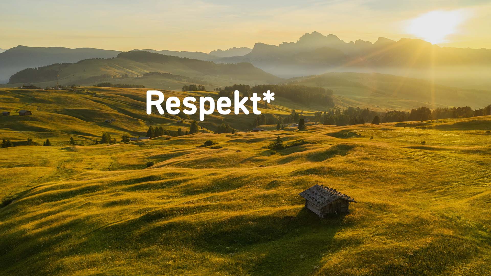 Respekt als Unternehmenswert
