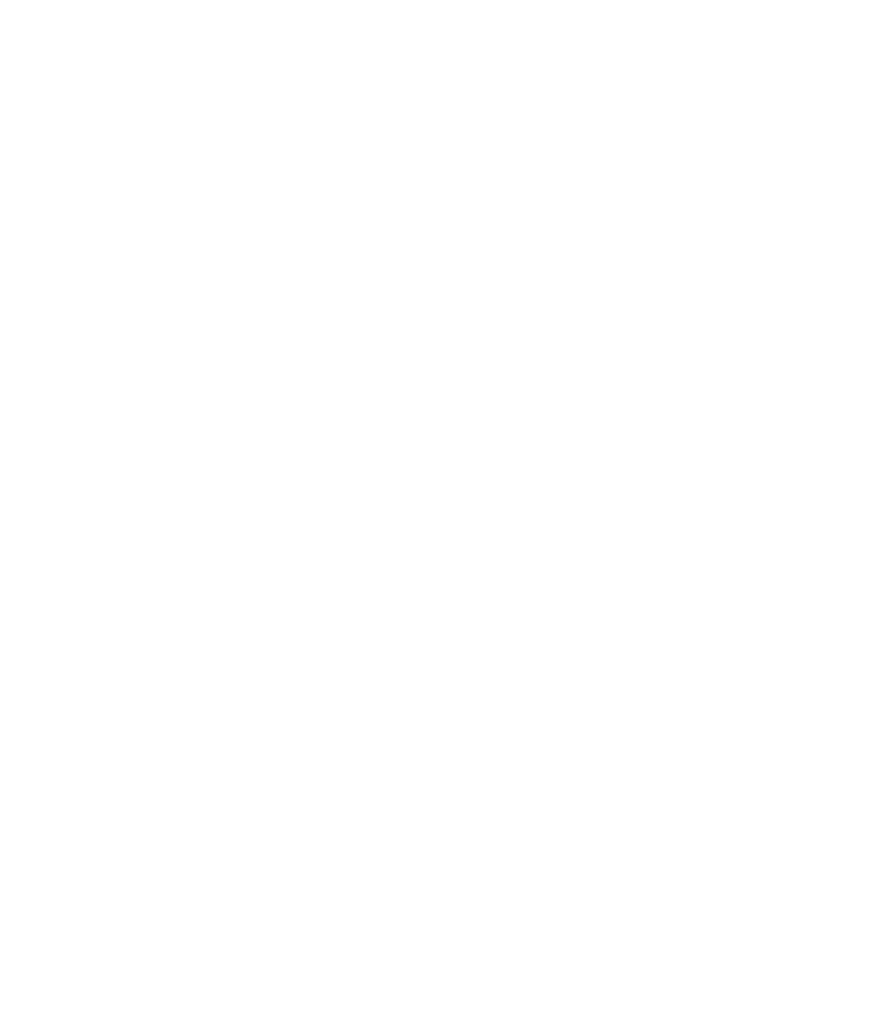 Stahlschrott-Reinigungsanlage SMCP