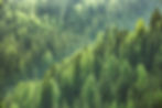 Anwendungsbereiche