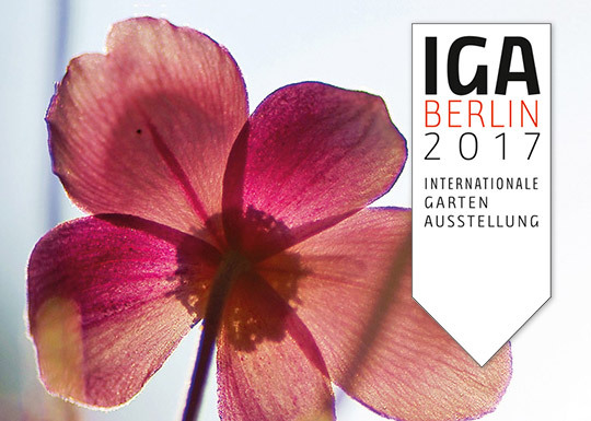 IGA 2017 – Website and web app