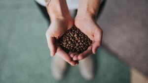 Für Vollautomaten abgestimmte Kaffeebohnen