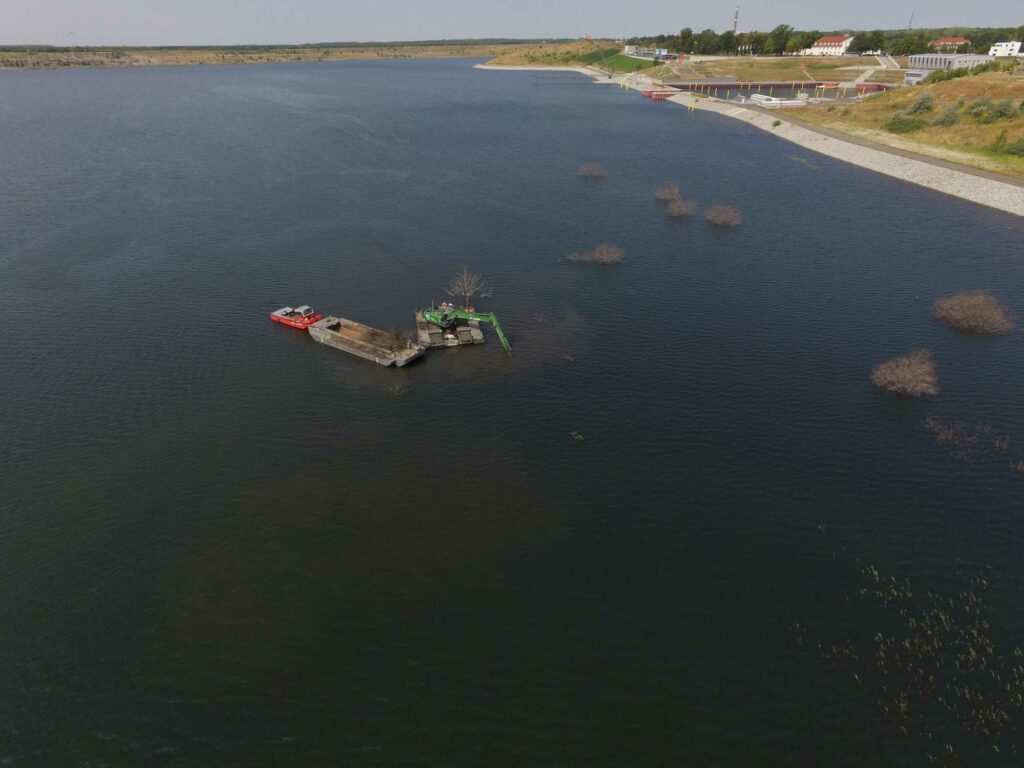 Totholzbeseitigung im Wasserbereich