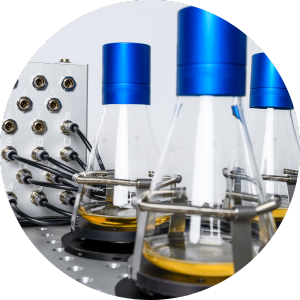Cell Growth Quantifier (CGQ)