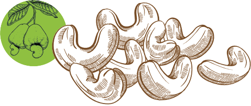 Naturbelassene Cashews