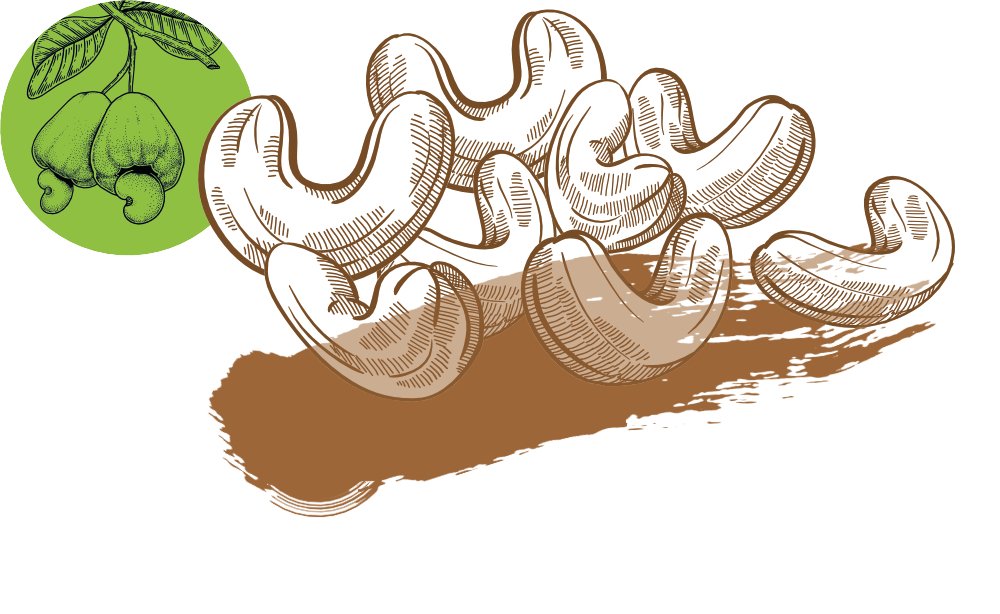 Cashews Kakao