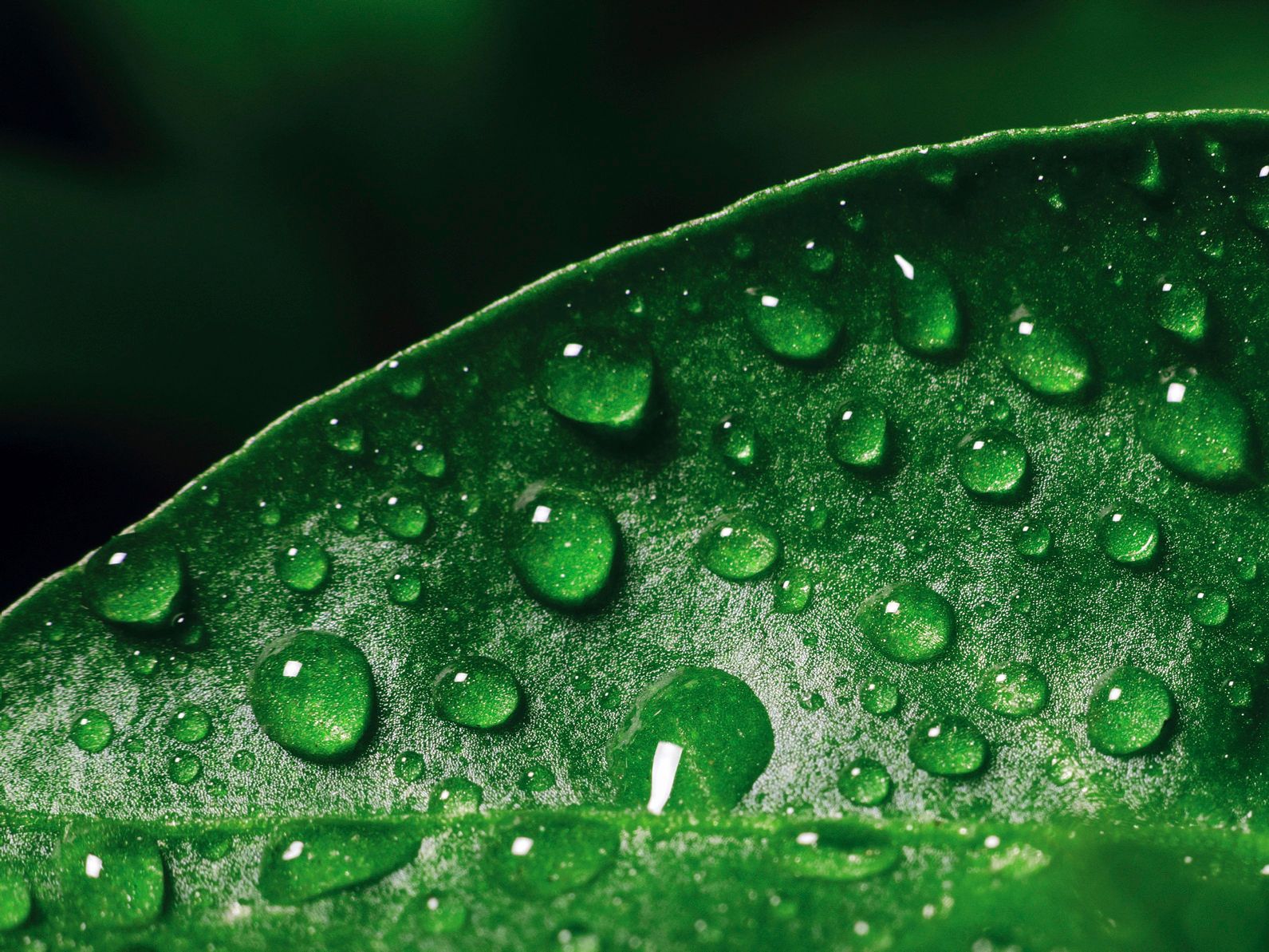 Sustainability and ESG at NovaTaste